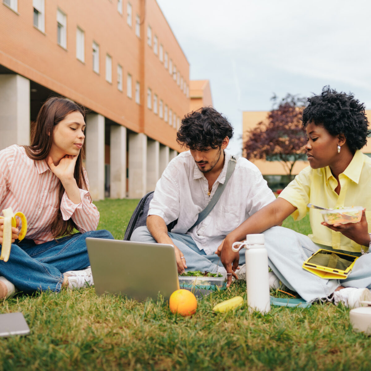 University students sat on the grass outside the university. They are studying on laptops and also eating fruit and other healthy snacks